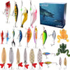 Fish Advent Calendar 2026
