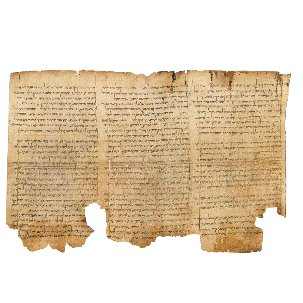 Sviluppato con ricercatori biblici e teologi